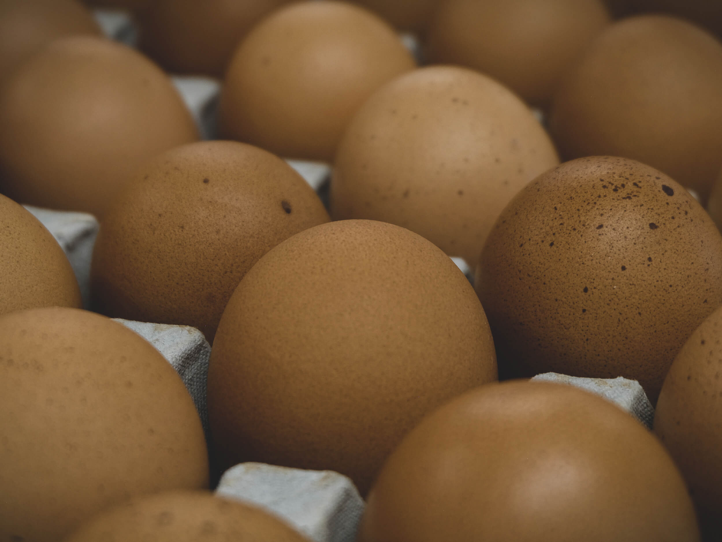 urban-market-eggs