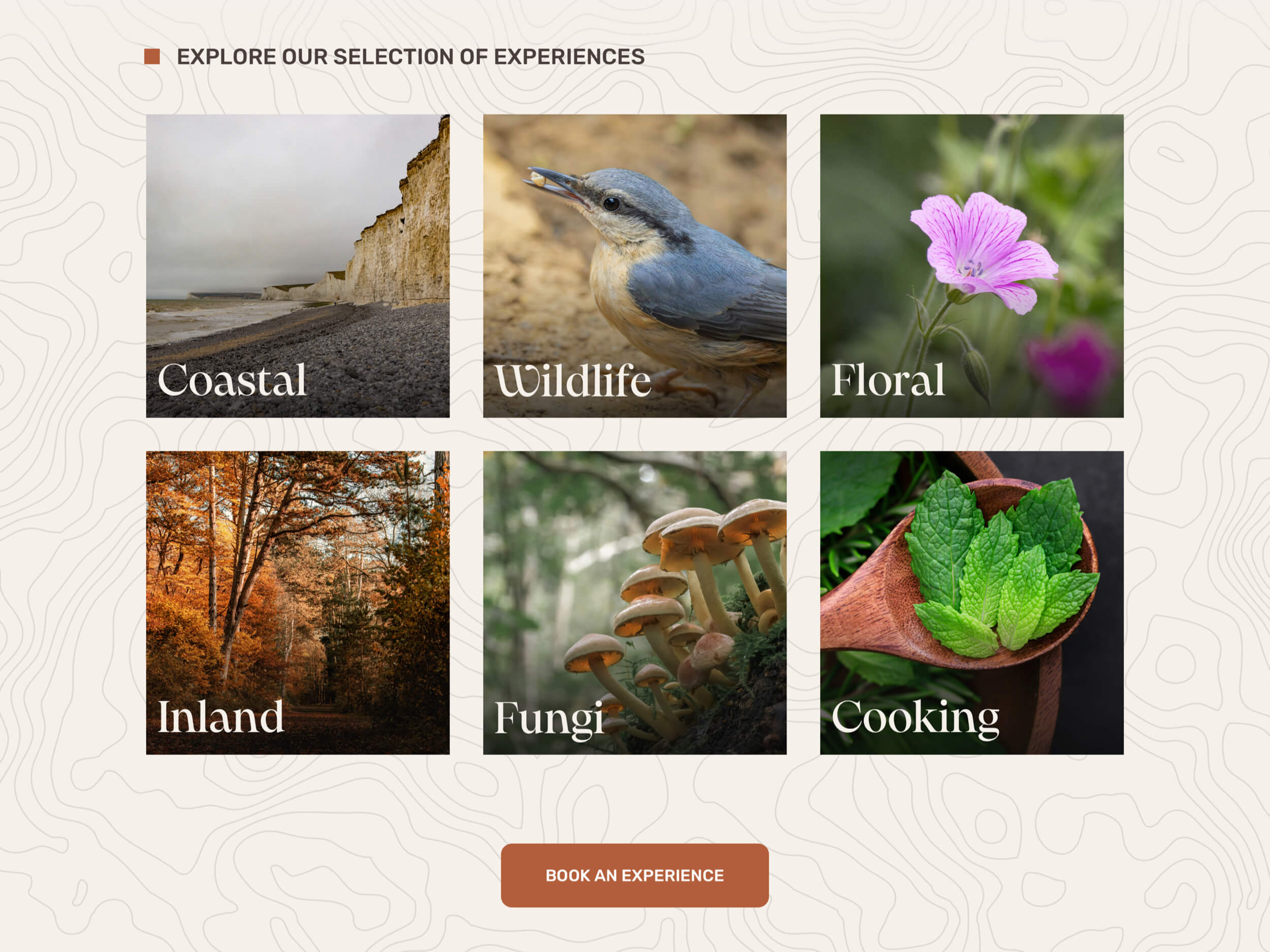 weforage-website-2